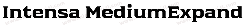 Intensa MediumExpanded字体转换